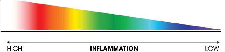 pain inflammation scale