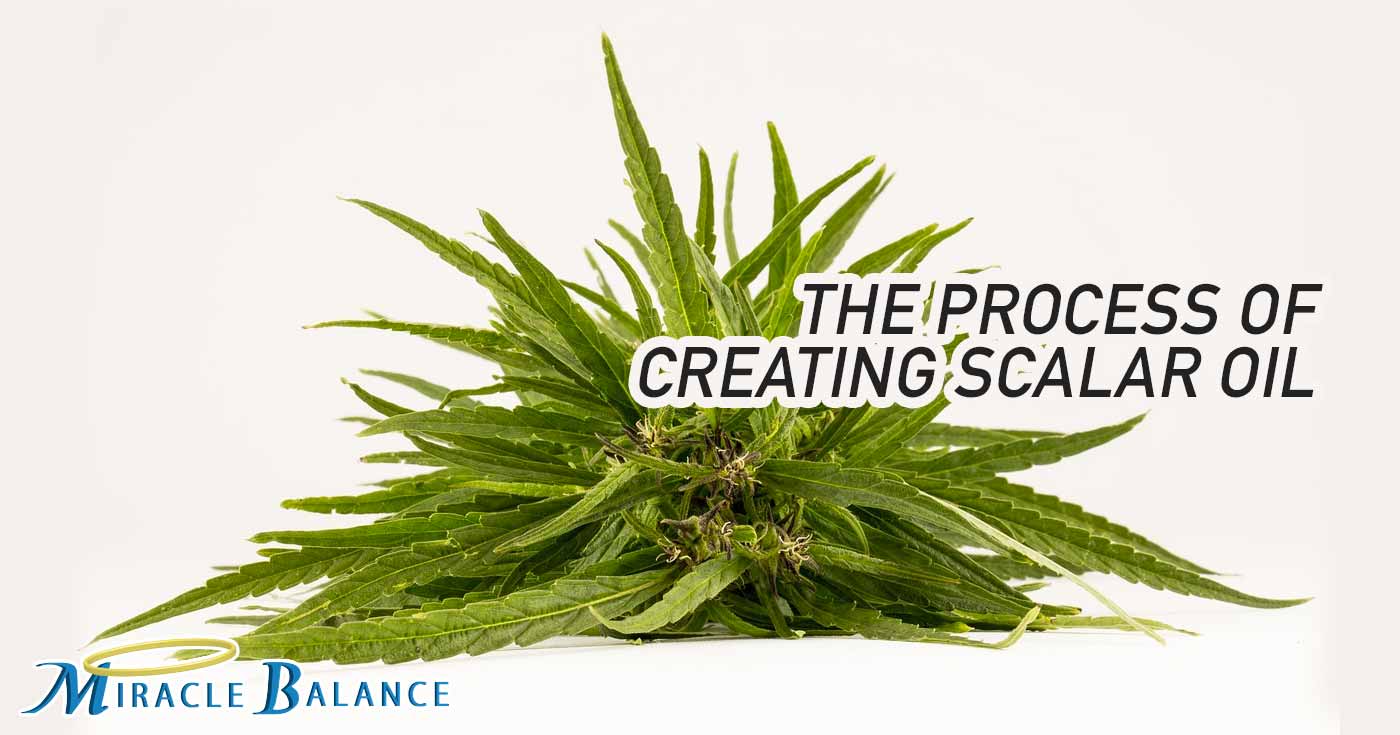 The Process Of Creating Scalar Oil